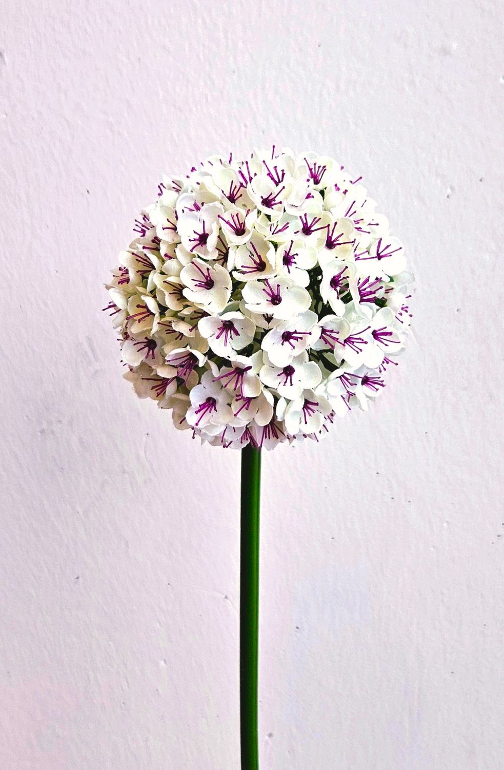Artificial allium, 68 cm, white-pink