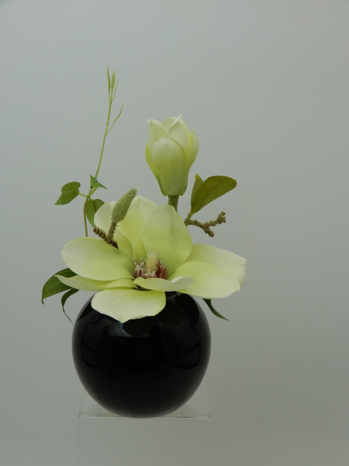 Künstliche Magnolie, getopft, schwarzer Keramiktopf, 15 cm, creme-grün