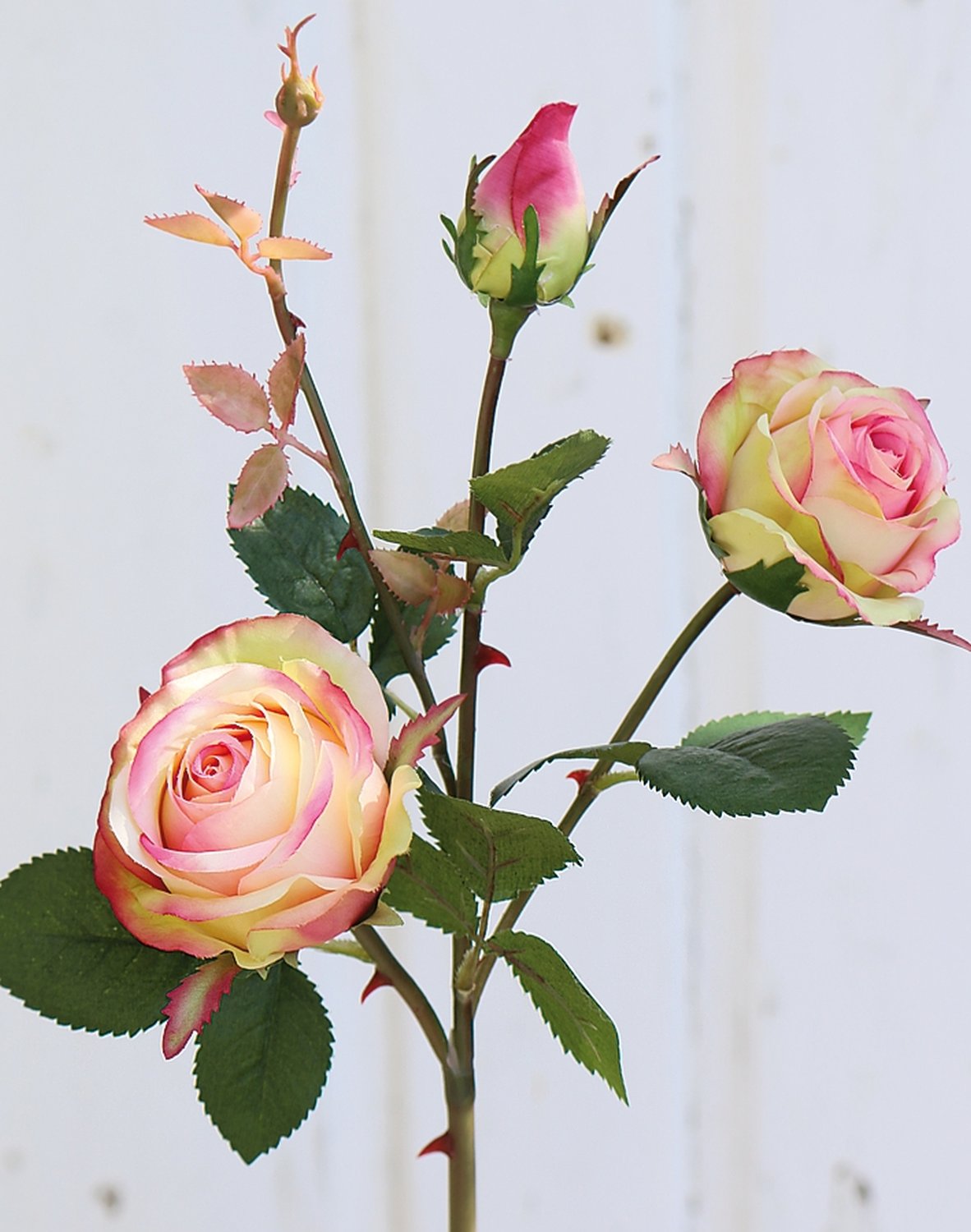 False rose, 2 flowers, 1 bud, 57 cm, pink-green