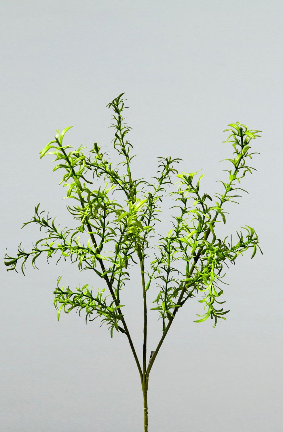 Künstlicher Rosmarinzweig, 76 cm, grün