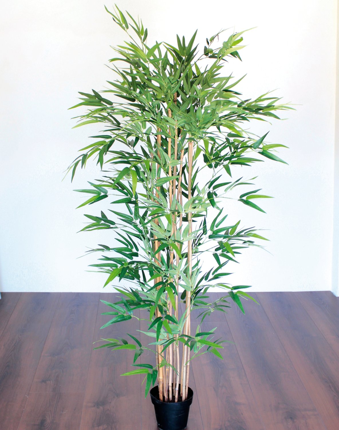 Deko Bambus, | grün getopft, 90 5991883F2 cm