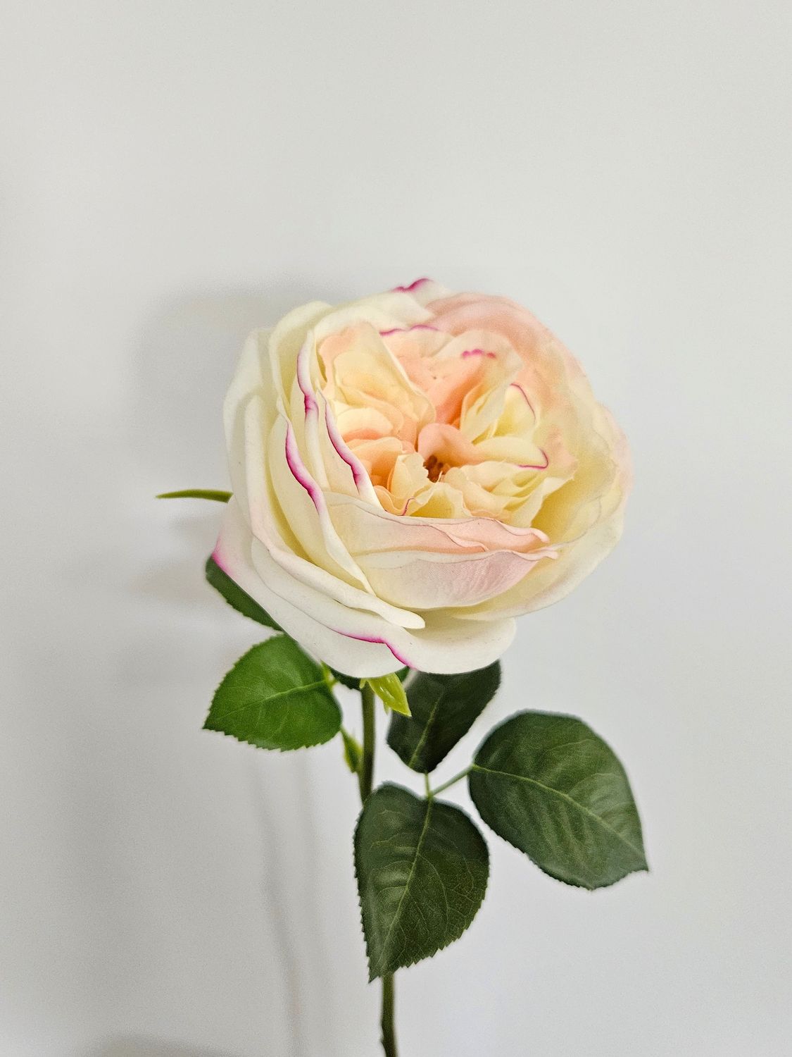 Unechte französische Rose, 48 cm, Real Touch Soft, creme-rosa