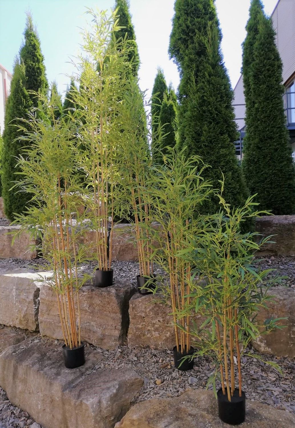 Deko Bambus, getopft, 90 cm, grün | 5991883F2
