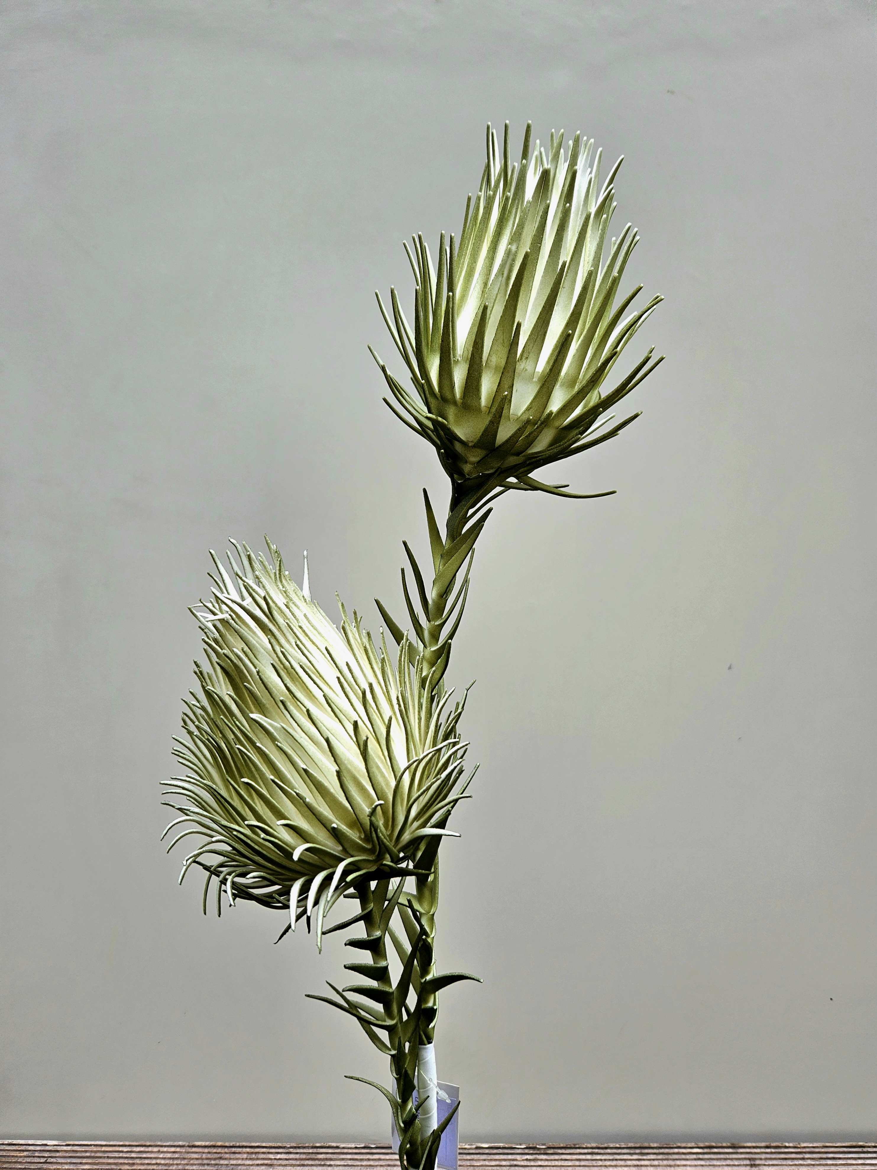 Deko Soft flower 'Distel-gigant', 2-fach, 100 cm, frost-grün