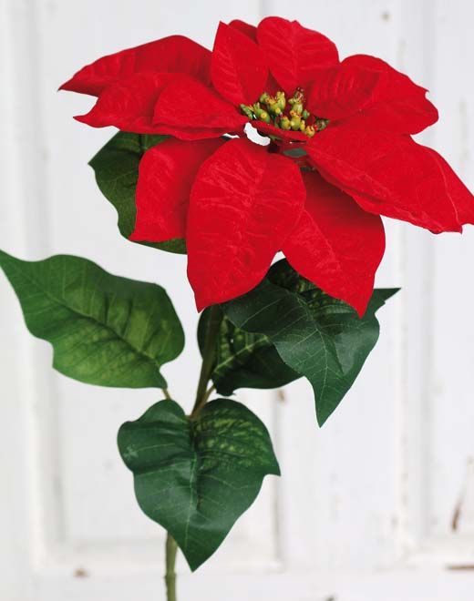 Artificial flower Poinsettia, velvet, 66 cm, red