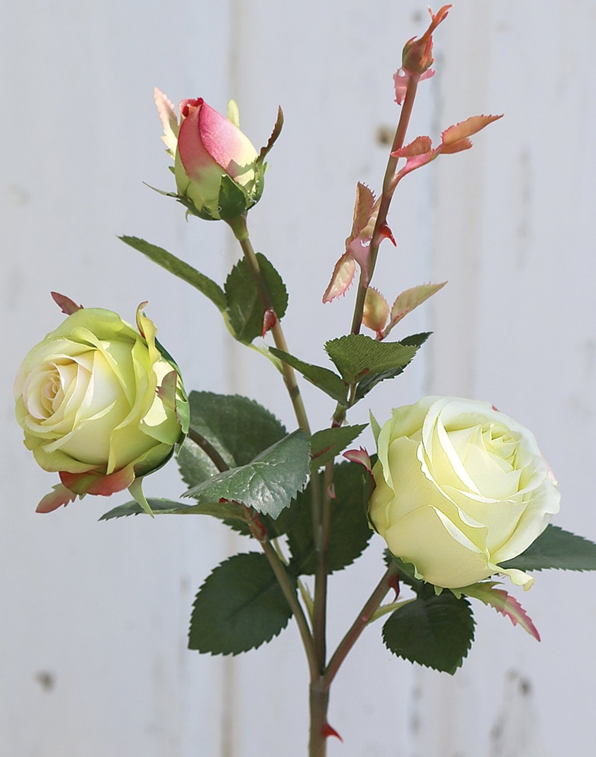 False rose, 2 flowers, 1 bud, 57 cm, beige-green