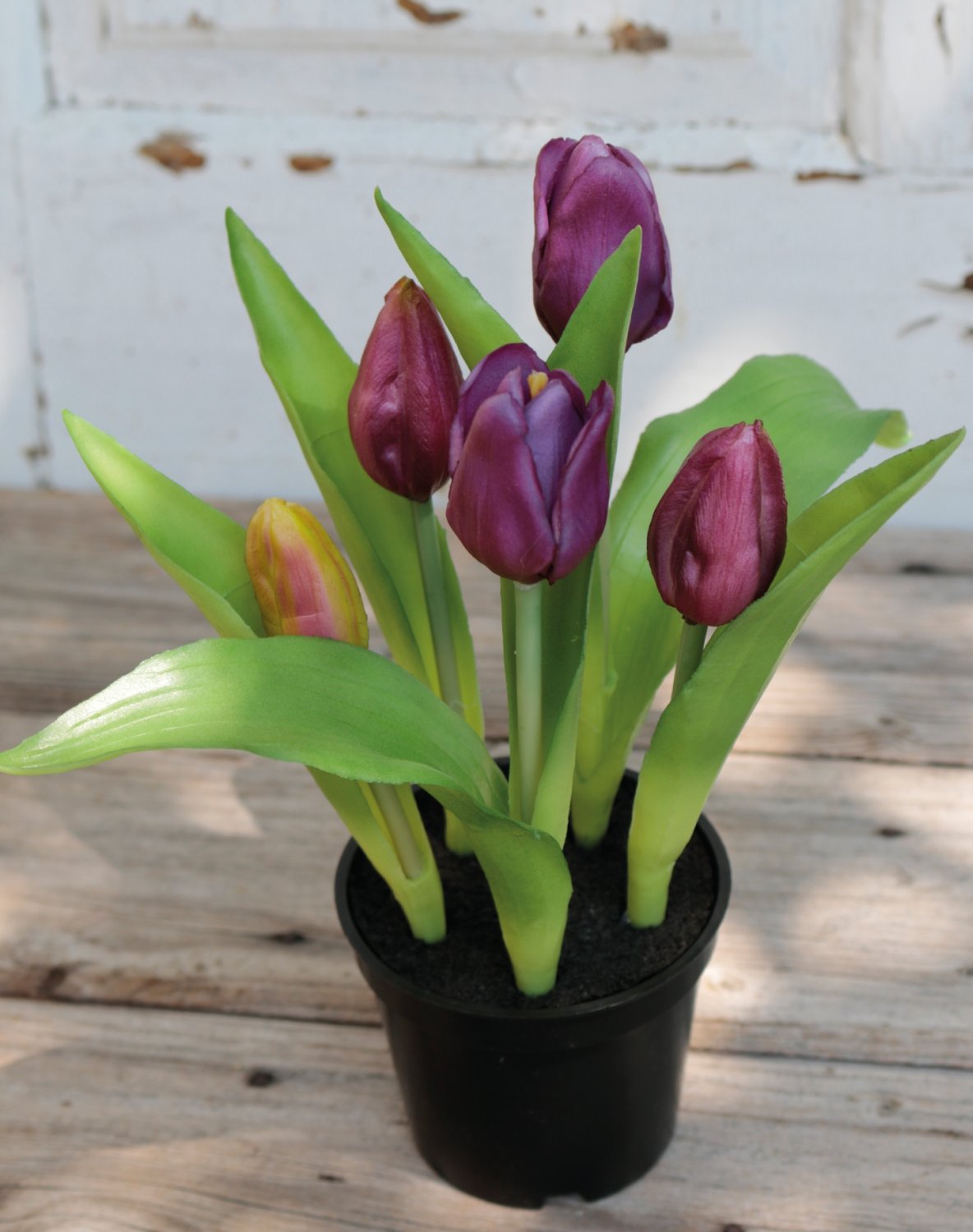 Künstliche Tulpen, getopft, 5-fach, 22 cm, Real Touch, violett-grün