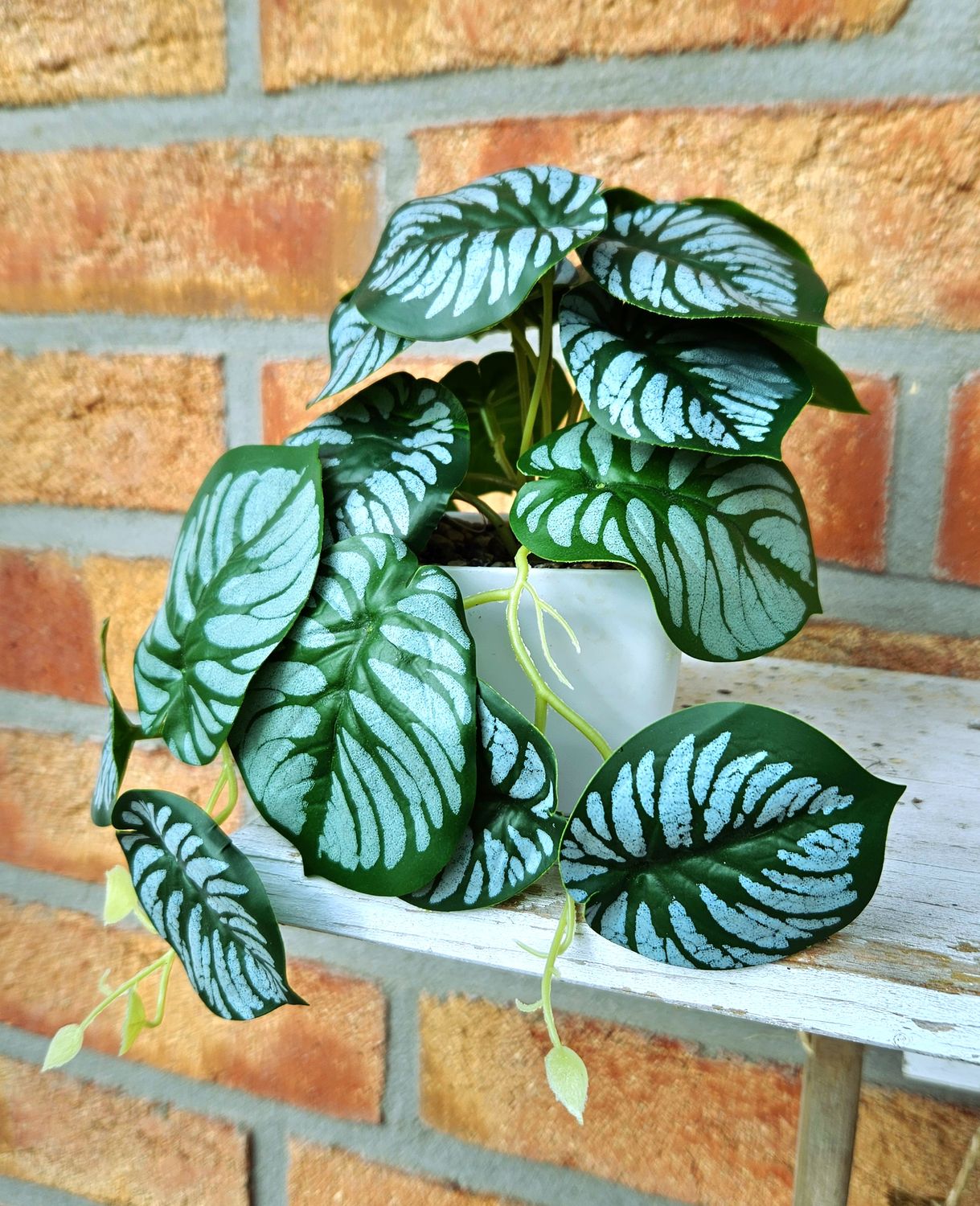 Kunstblume Philodendron, hängend, getopft, 17 cm, grün-weiß