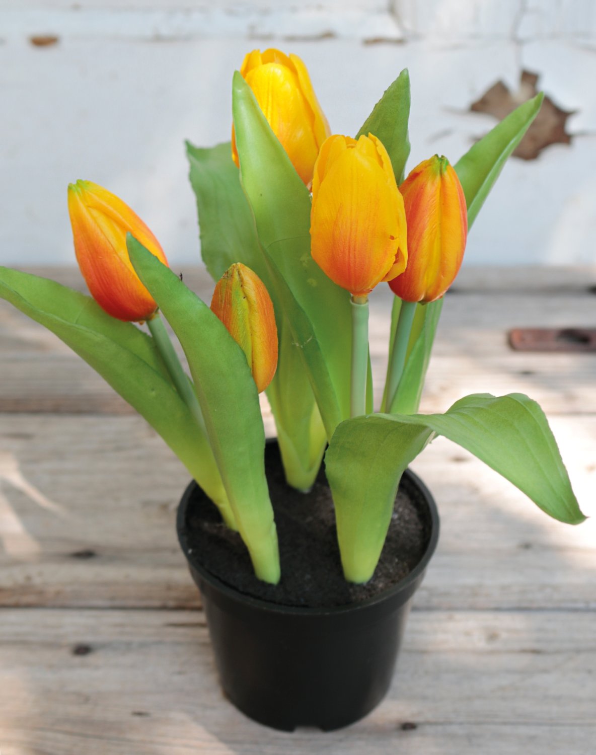 Künstliche Tulpen, getopft, 5-fach, 22 cm, Real Touch, orange