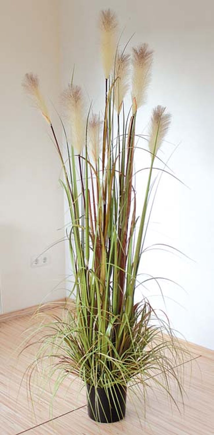 Artificial pampas grass, potted, 180 cm, green-brown