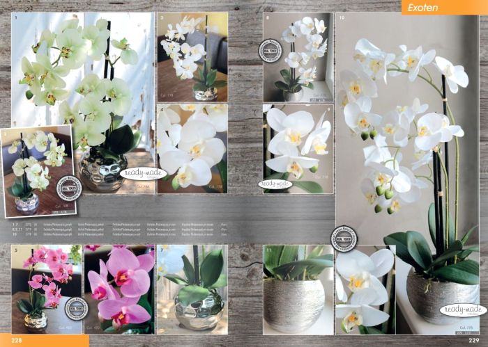 artplants.de Orchidea phalaenopsis Artificiale Cecile, Vaso di Ceramica,  Bianco, 100cm - Orchidea Finta - Fiore di Seta : : Casa e cucina