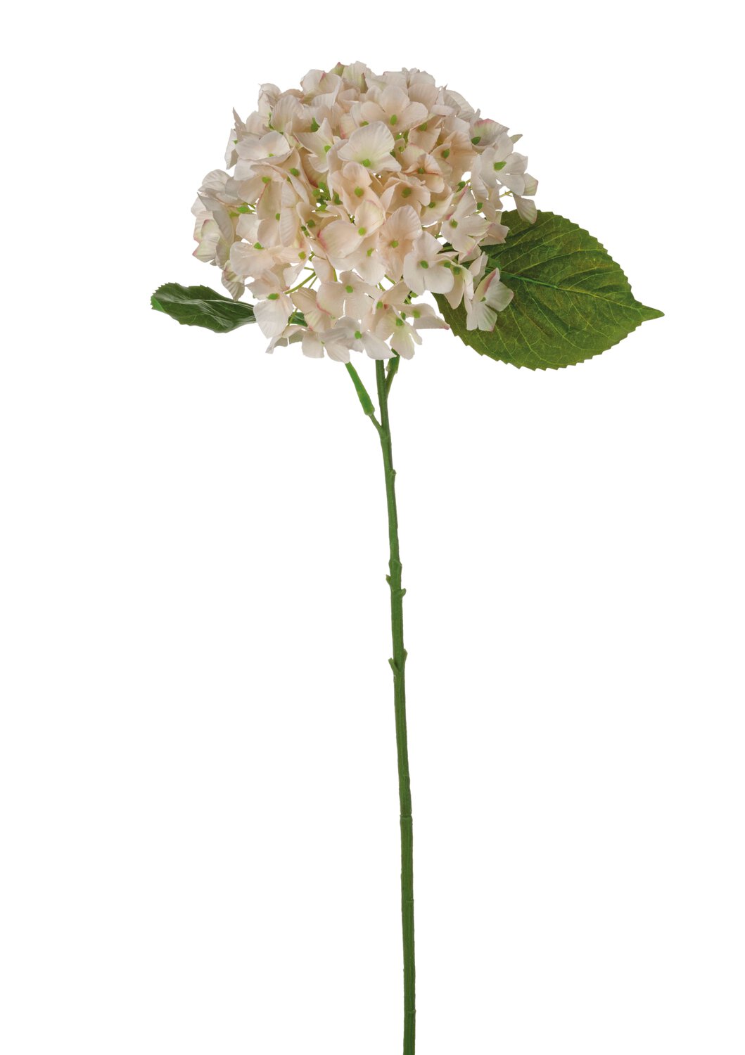 Unechte Hortensien Blume, 56 antik-hellrosa | 9853598A3 cm