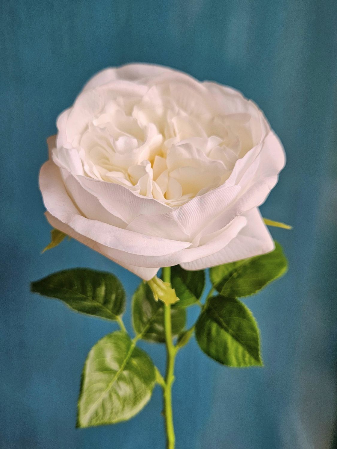 Rosa artificiale francese, 48 cm, Real Touch Soft, crema-bianco