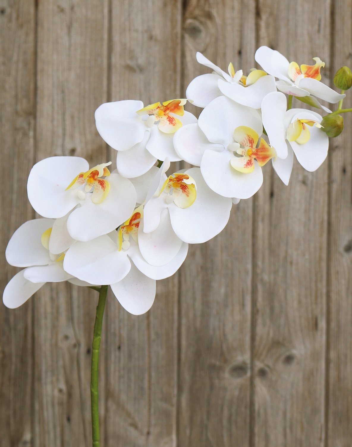 Künstliche Orchidee Phalaenopsis, 106 cm, Real Touch Soft, creme-weiß
