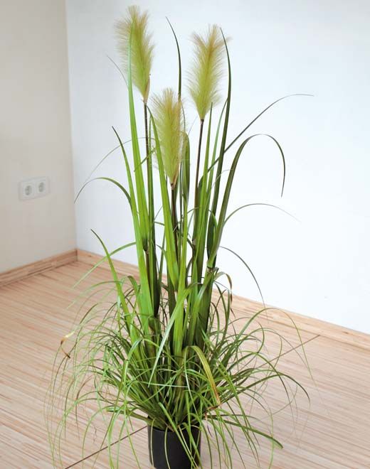 Artificial pampas grass, potted, 120 cm, green