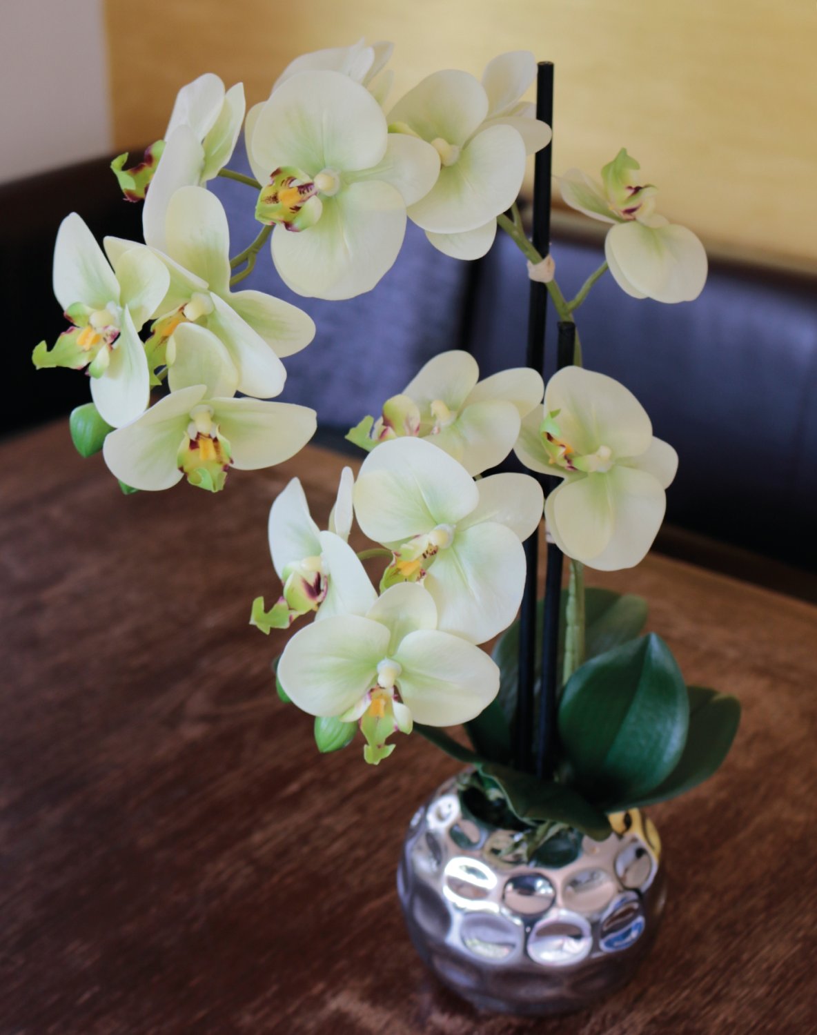 Künstliche Orchidee Phalaenopsis, 2-fach, getopft, 45 cm, Real Touch, creme-grün