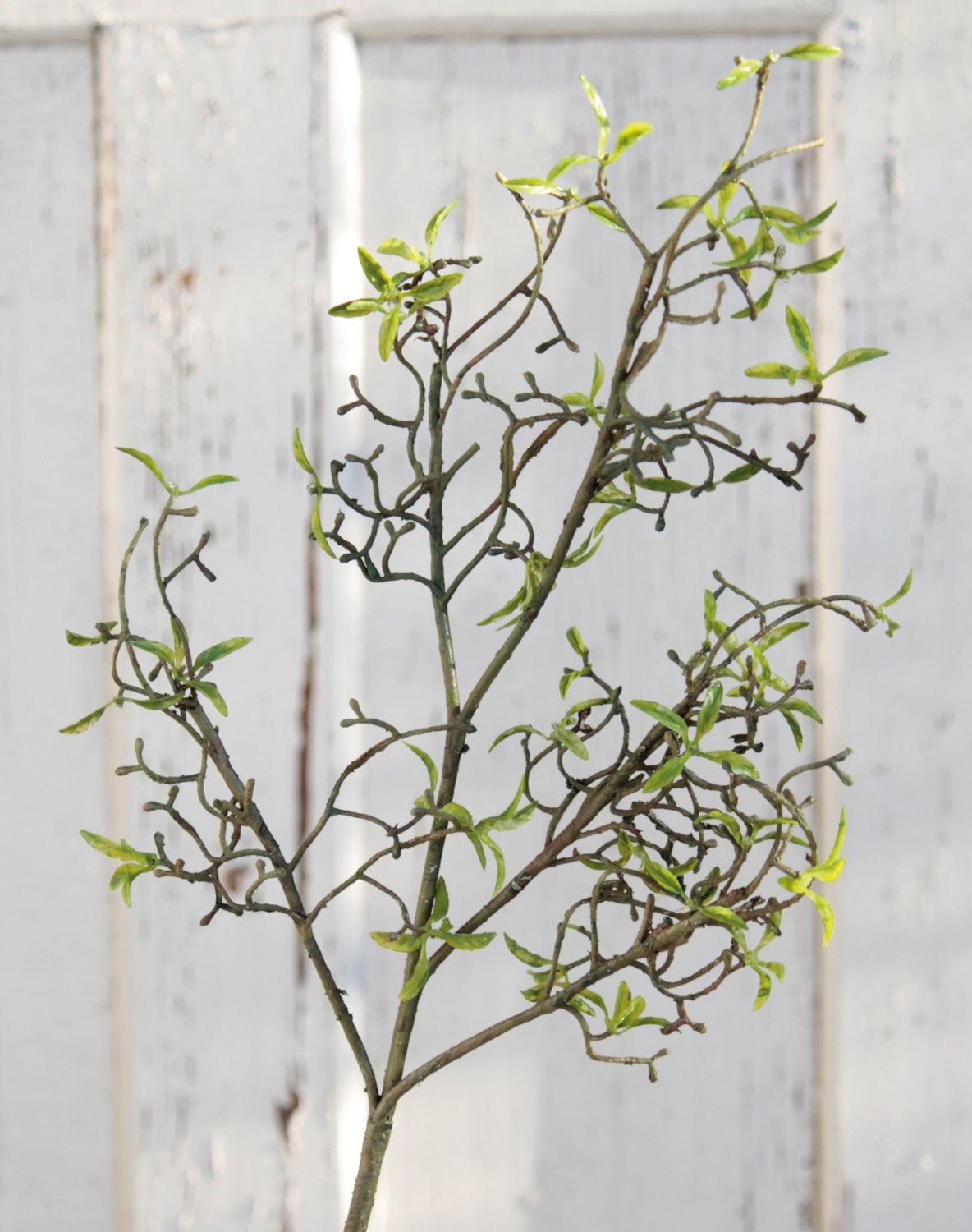 Künstlicher Dekozweig mit zarten cm, 72 grün Blättern