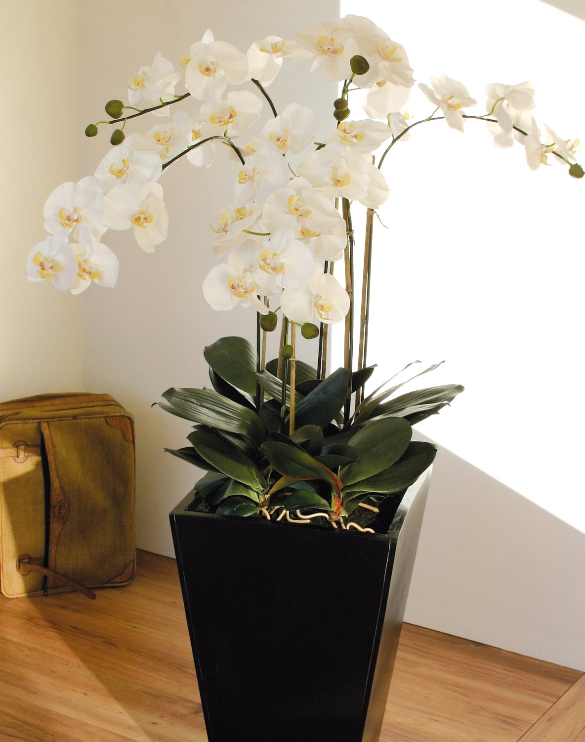 Künstliche Orchidee Phalaenopsis, 6-fach, getopft, 155 cm, Real Touch, creme-weiß