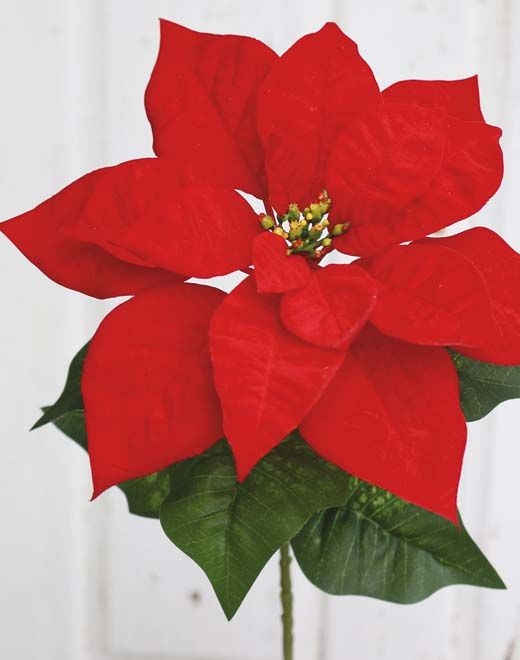 Artificial flower Poinsettia, velvet, 50 cm, red