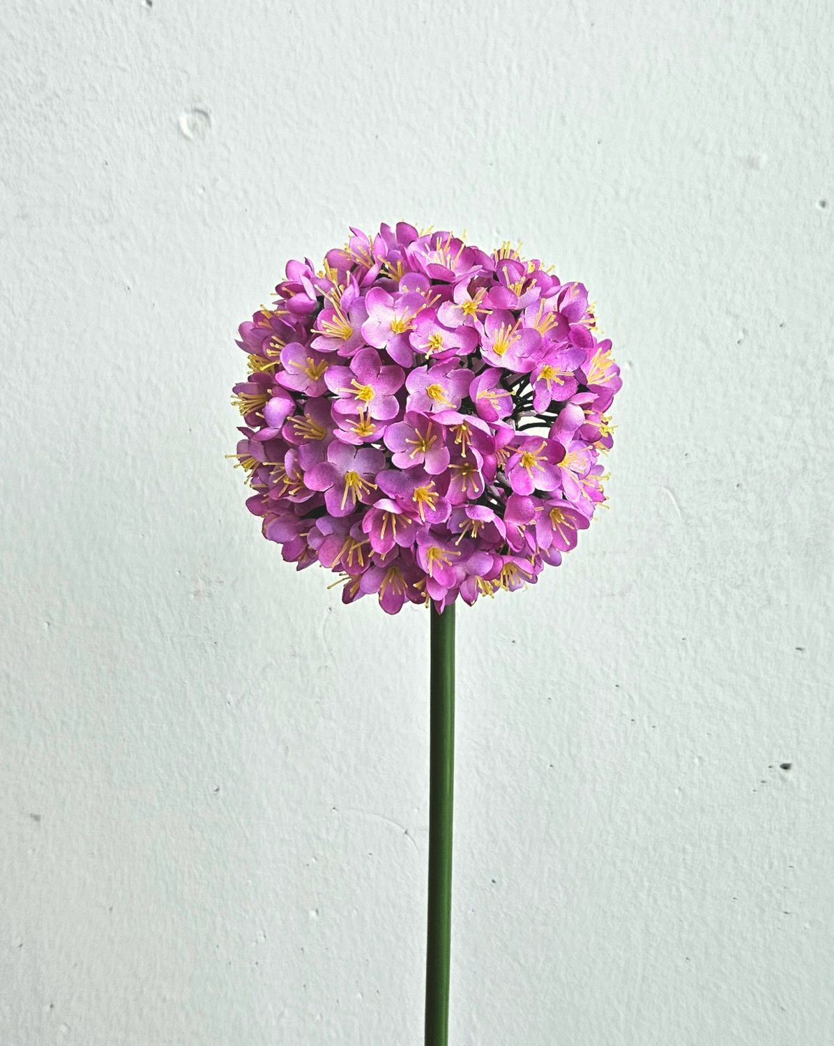 Allium artificiale, 68 cm, rosa