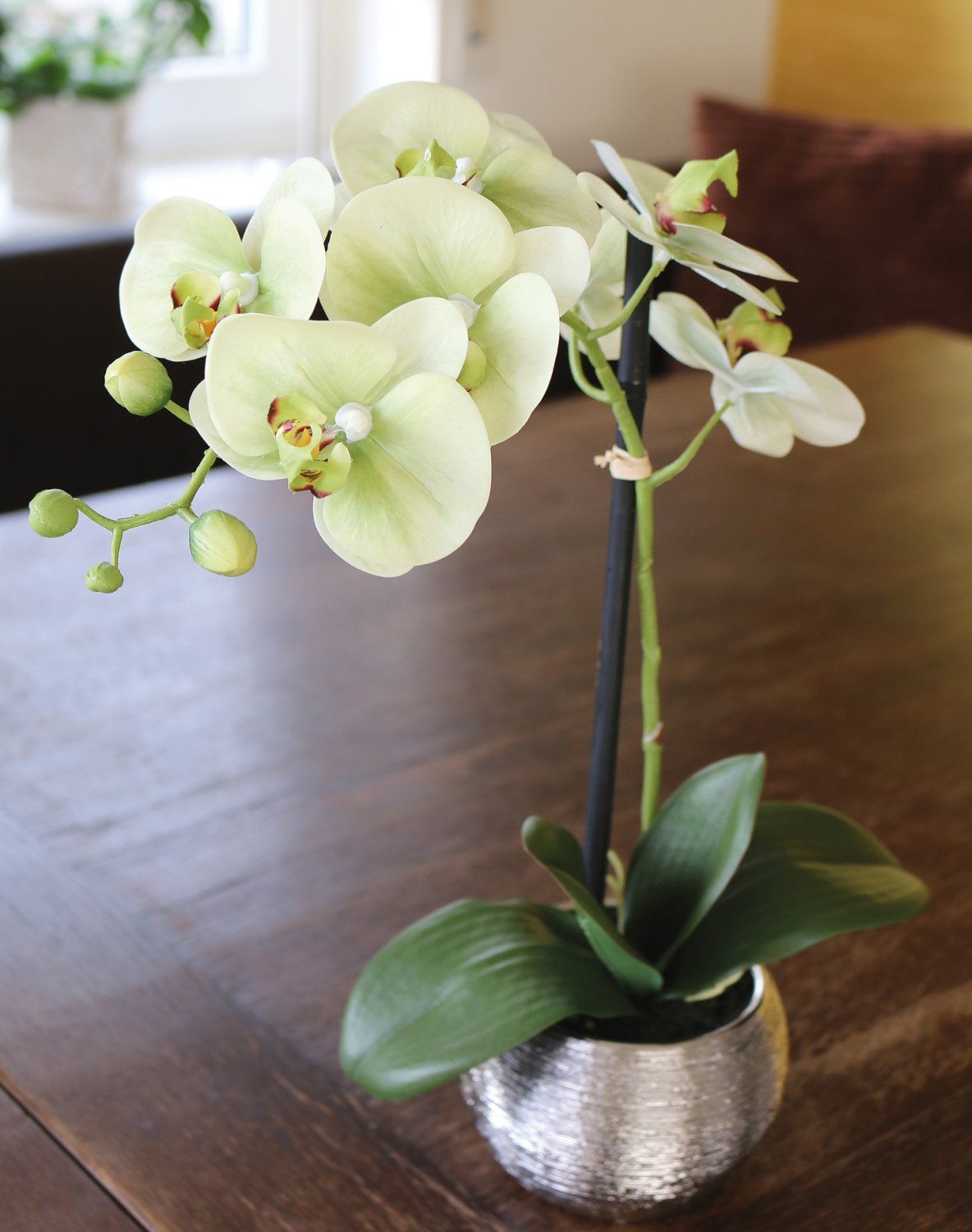 Künstliche Orchidee Phalaenopsis, getopft, 45 cm, Real Touch Soft, creme-grün