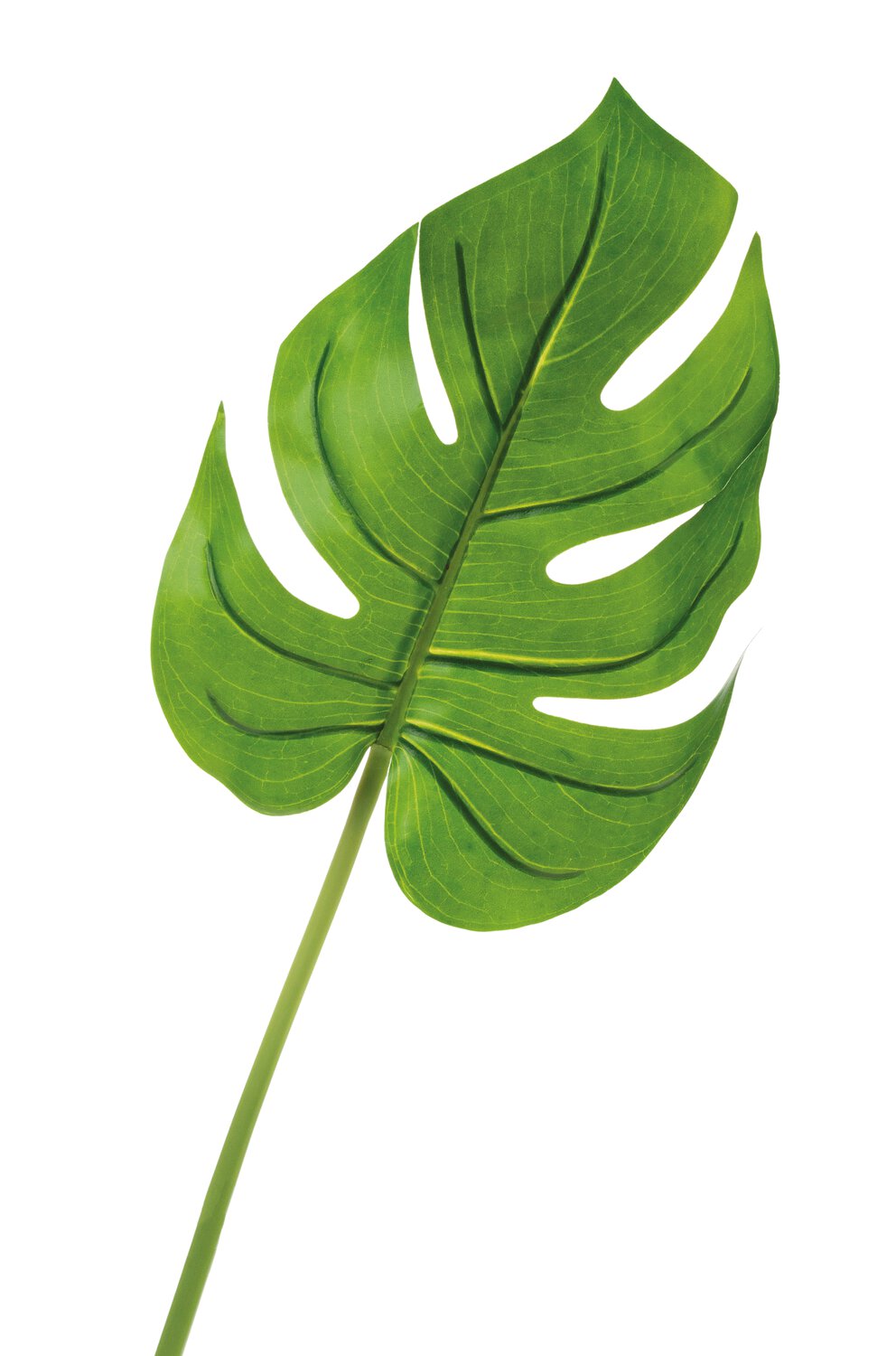 Künstliches Monsterablatt, 78 cm 24 cm), grün (Blatt