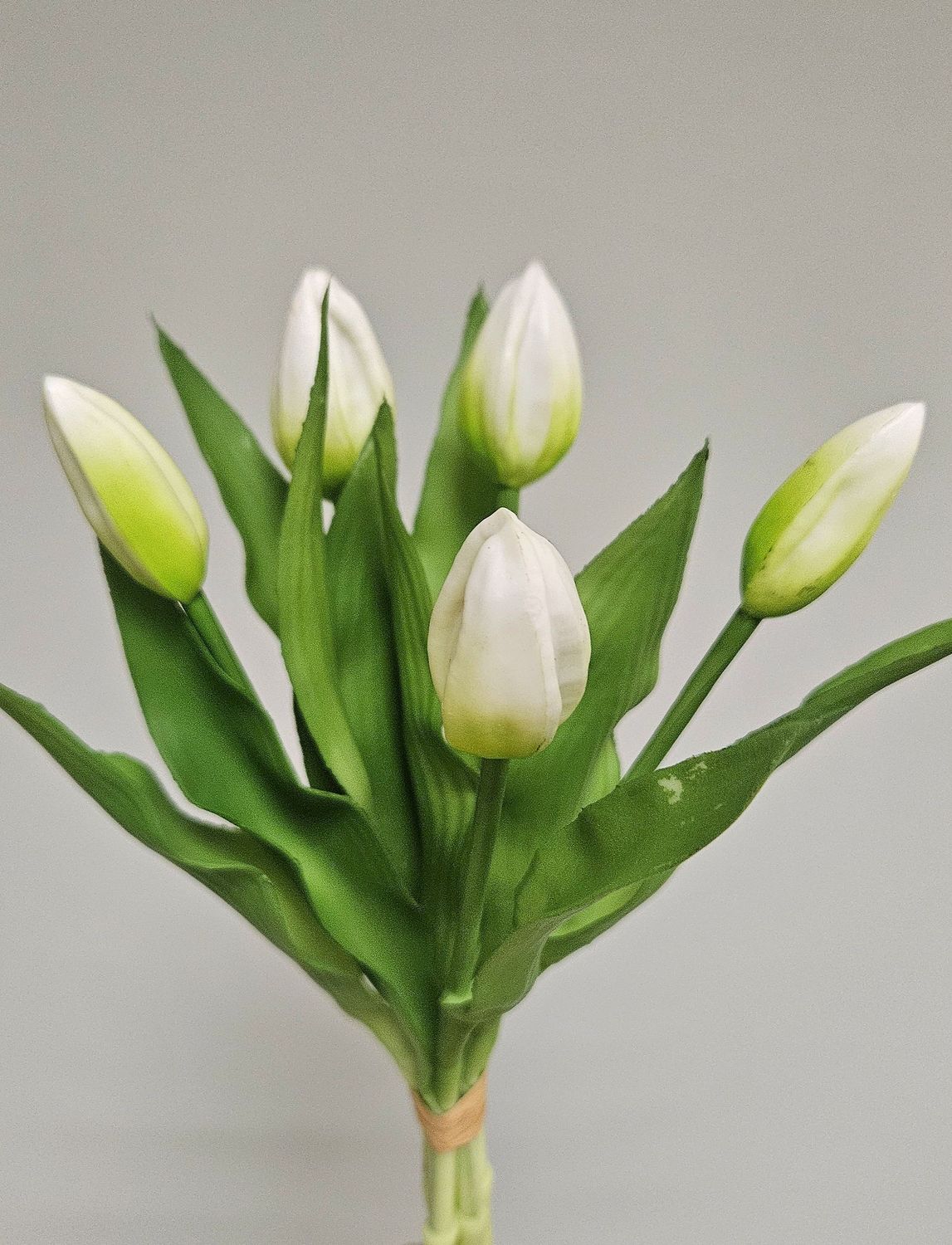 Kunst Tulpenbund, 5 Knospen, 32 cm, creme-weiß