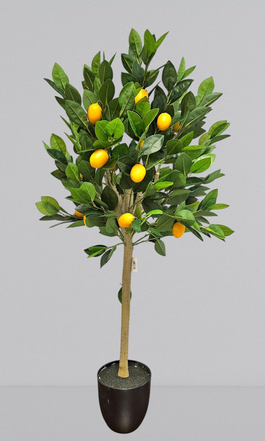 Unechter Zitronenbaum, getopft, Kugel, 100 cm, grün-gelb