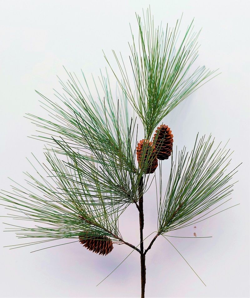 Artificial coastal pine branch with cones, 70 cm, green-brown