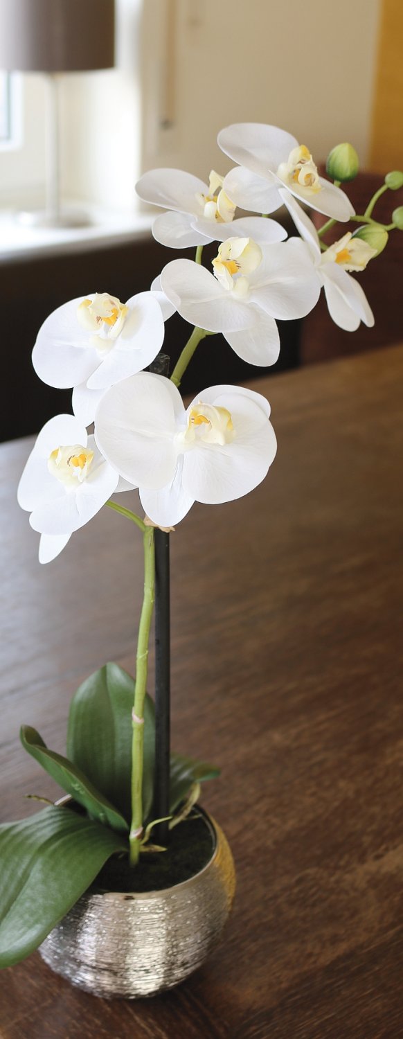 Künstliche Orchidee Phalaenopsis, getopft, 45 cm, Real Touch Soft, creme-weiß