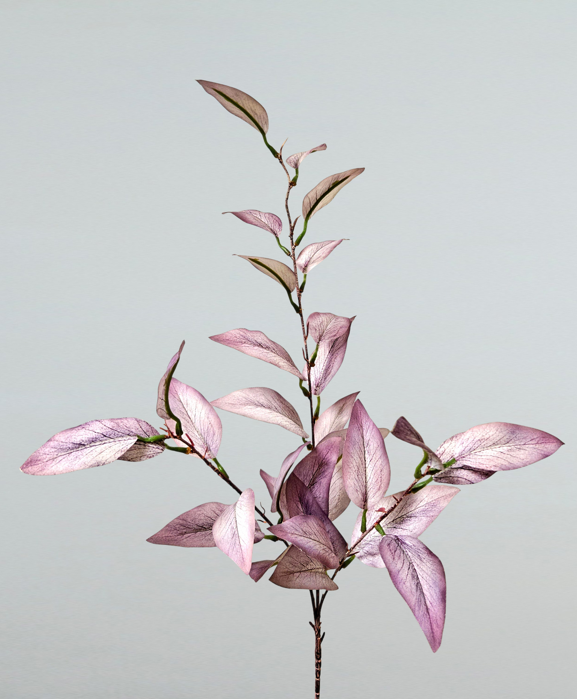 Fake Eukalyptuszweig, 94 cm, Soft Feel, grün-rosa