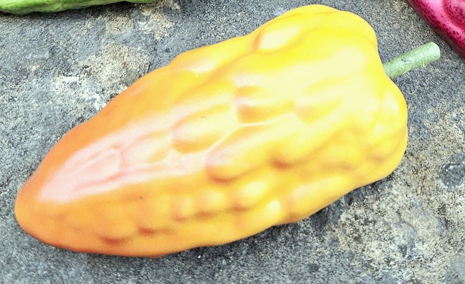 Cacao artificiale, 13 cm (frutto 11 cm), arancione