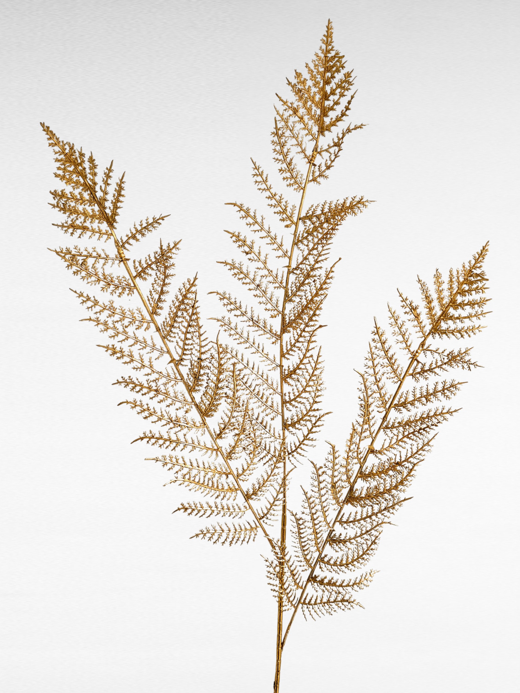 Künstlicher Farnzweig, 103 cm, gold