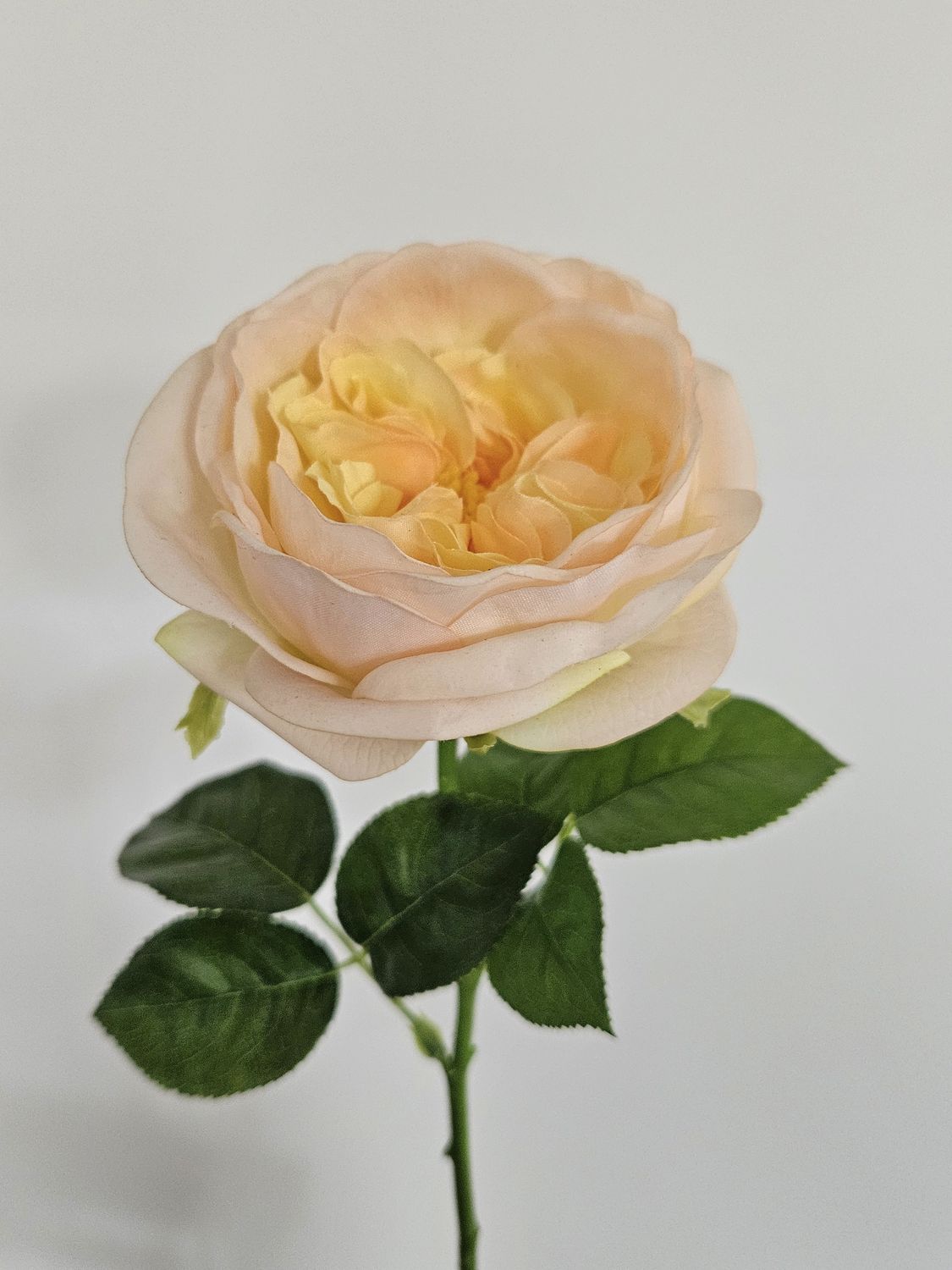 Unechte französische Rose, 48 cm, Real Touch Soft, creme-aprikose