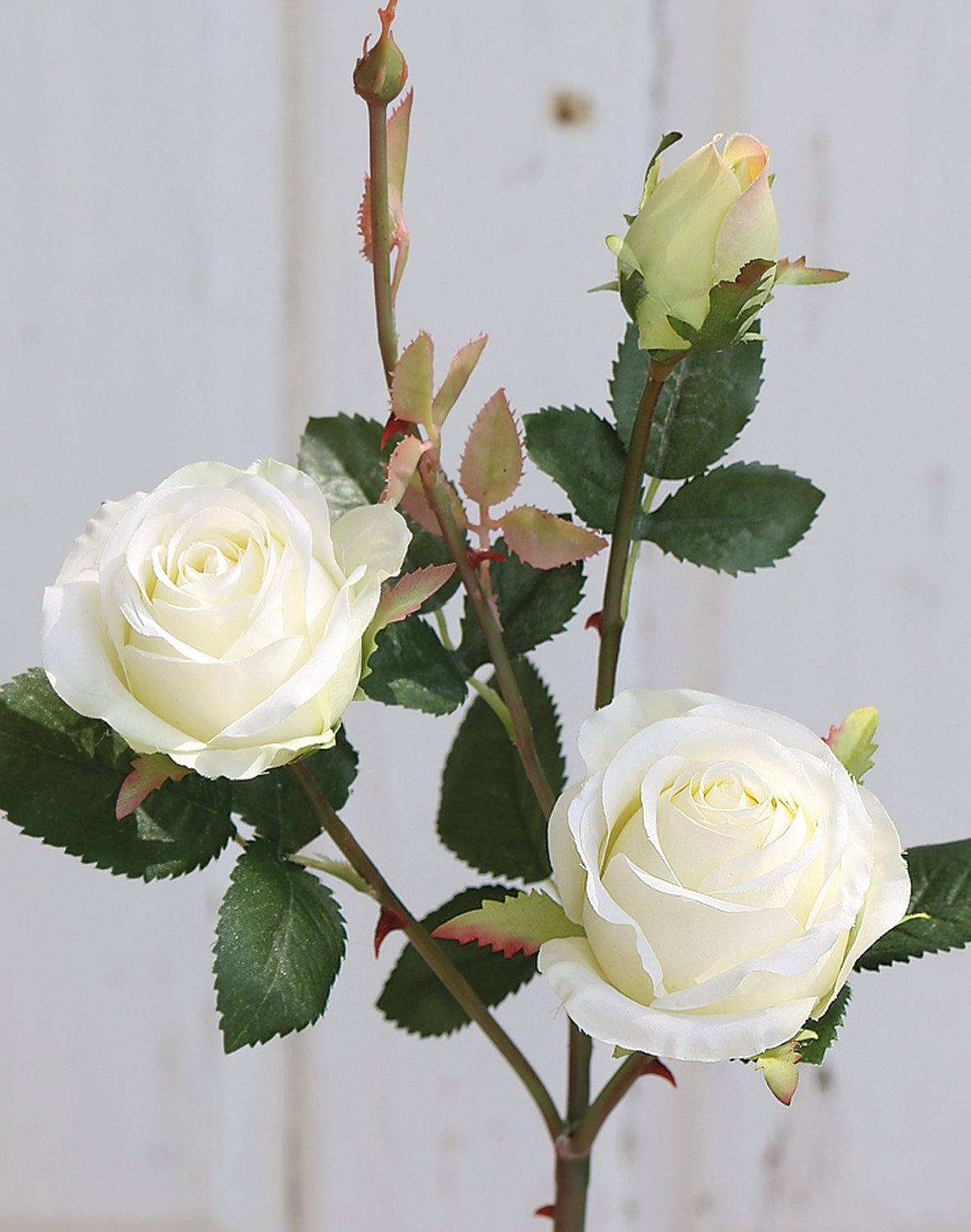 False rose, 2 flowers, 1 bud, 57 cm, beige-white