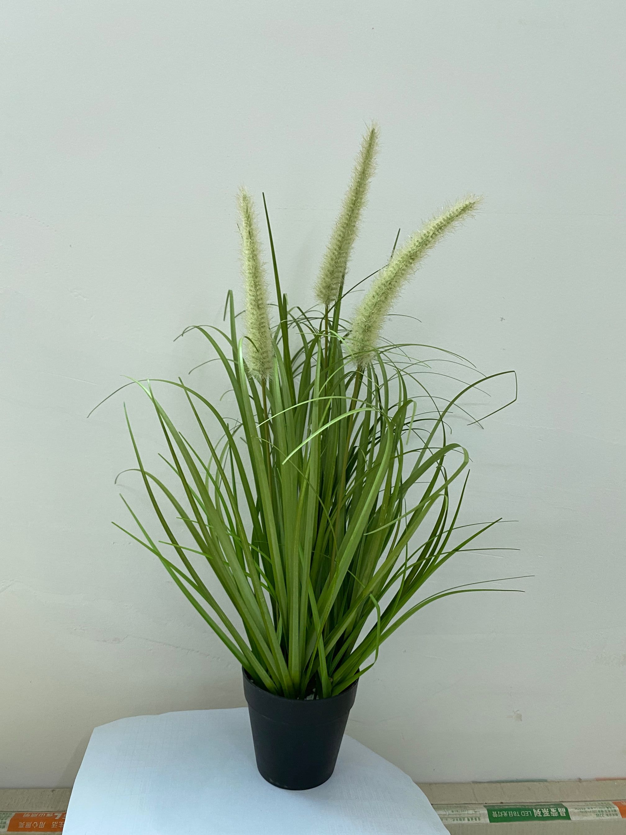 Künstlicher Grasbüschel 'Lampenputzergras', getopft, 50 cm, grün
