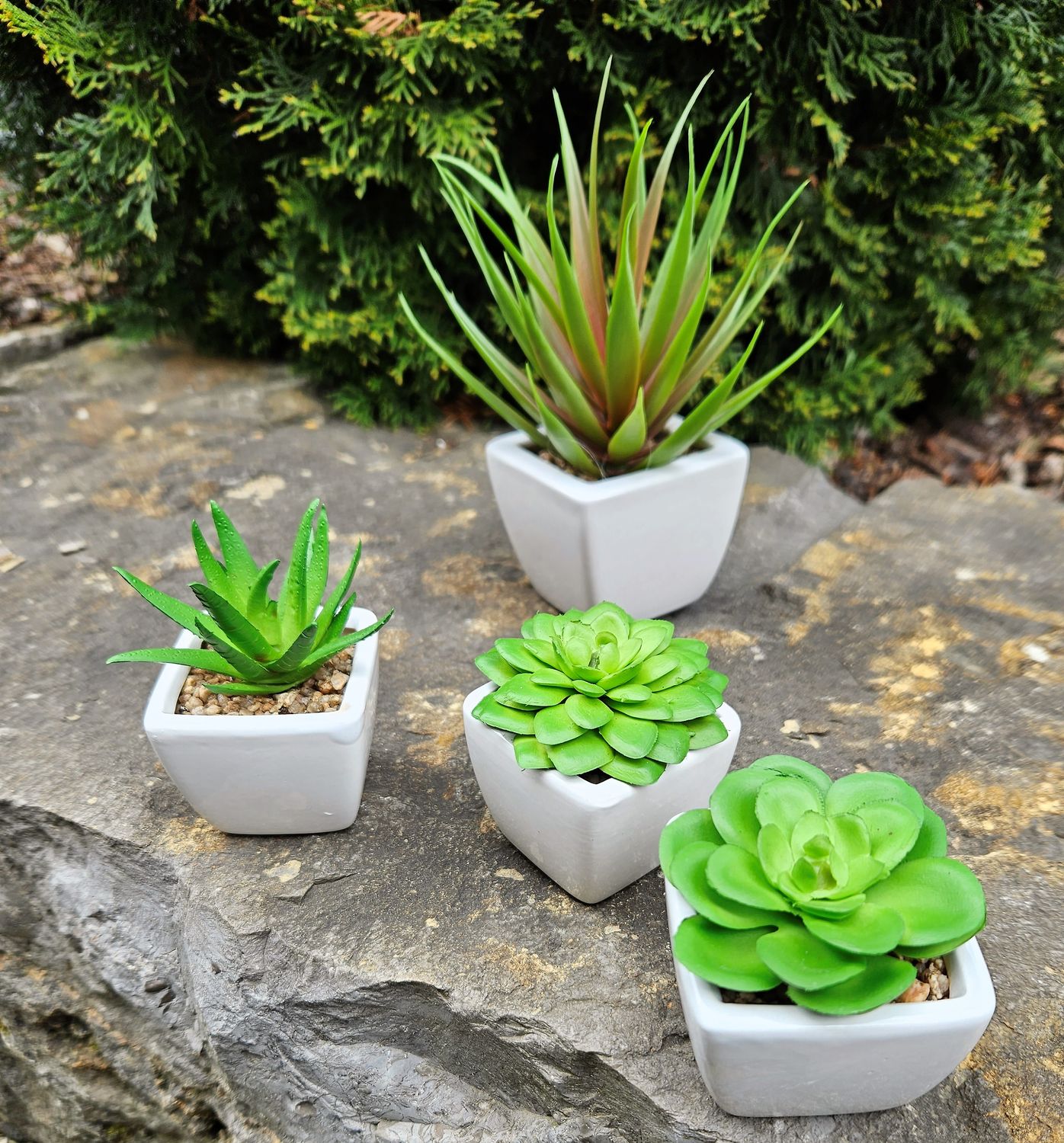 Artificial mini aloe in ceramic pot, 9 cm, green