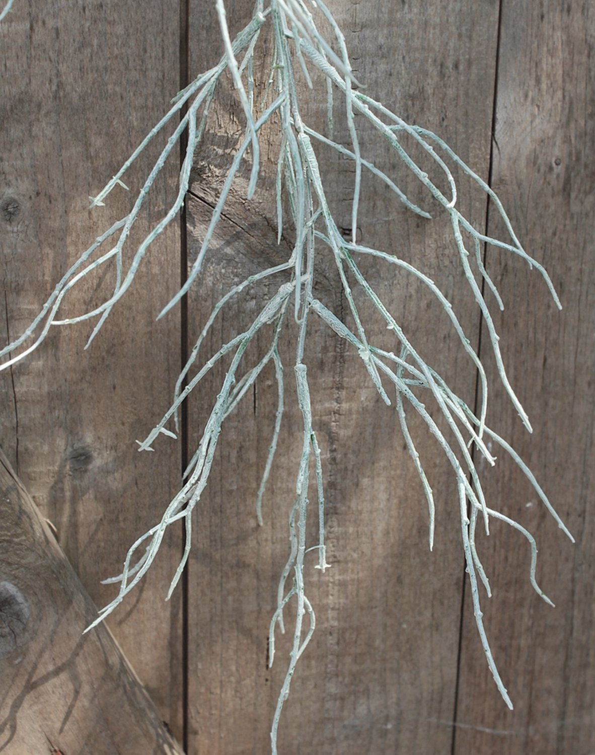 Künstliche frost-grün Tillandsia, cm, hängend, 104