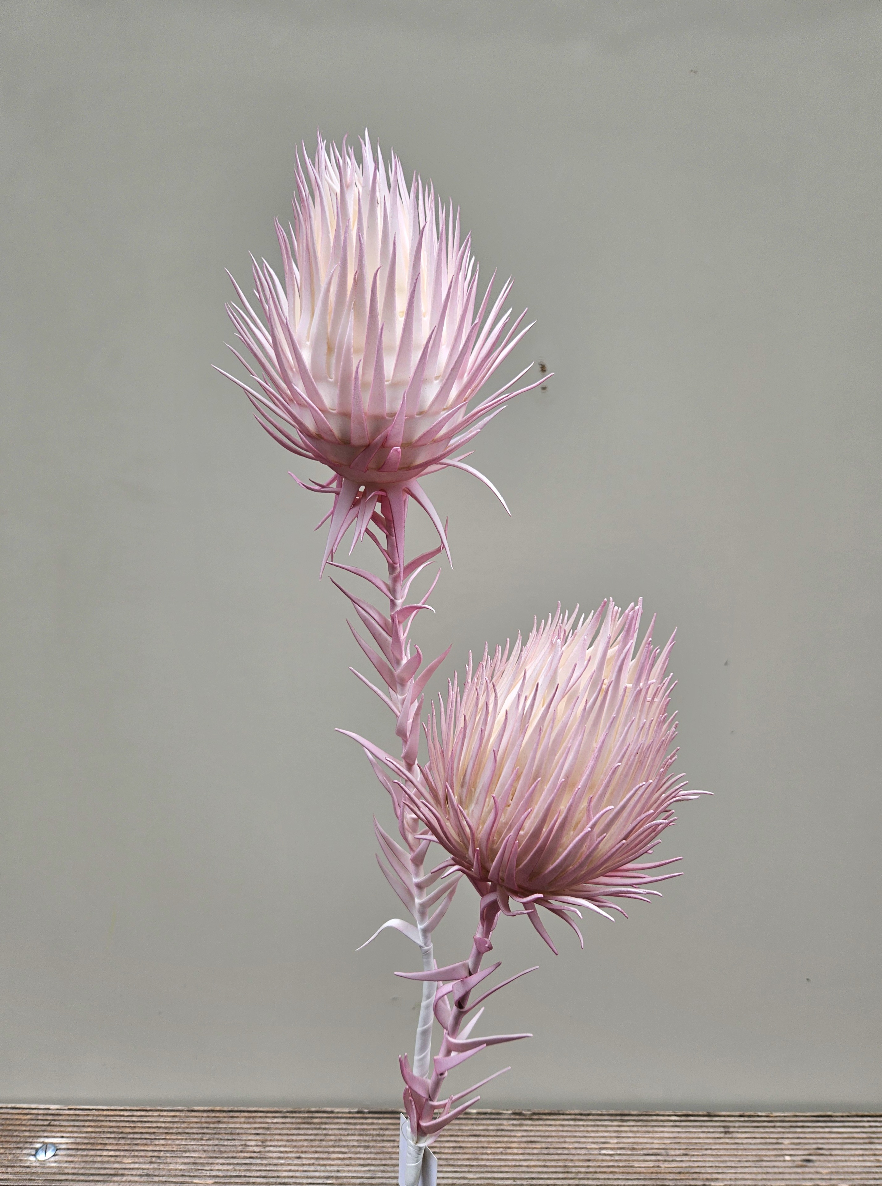 Deko Soft flower 'Distel-gigant', 2-fach, 100 cm, hellrosa