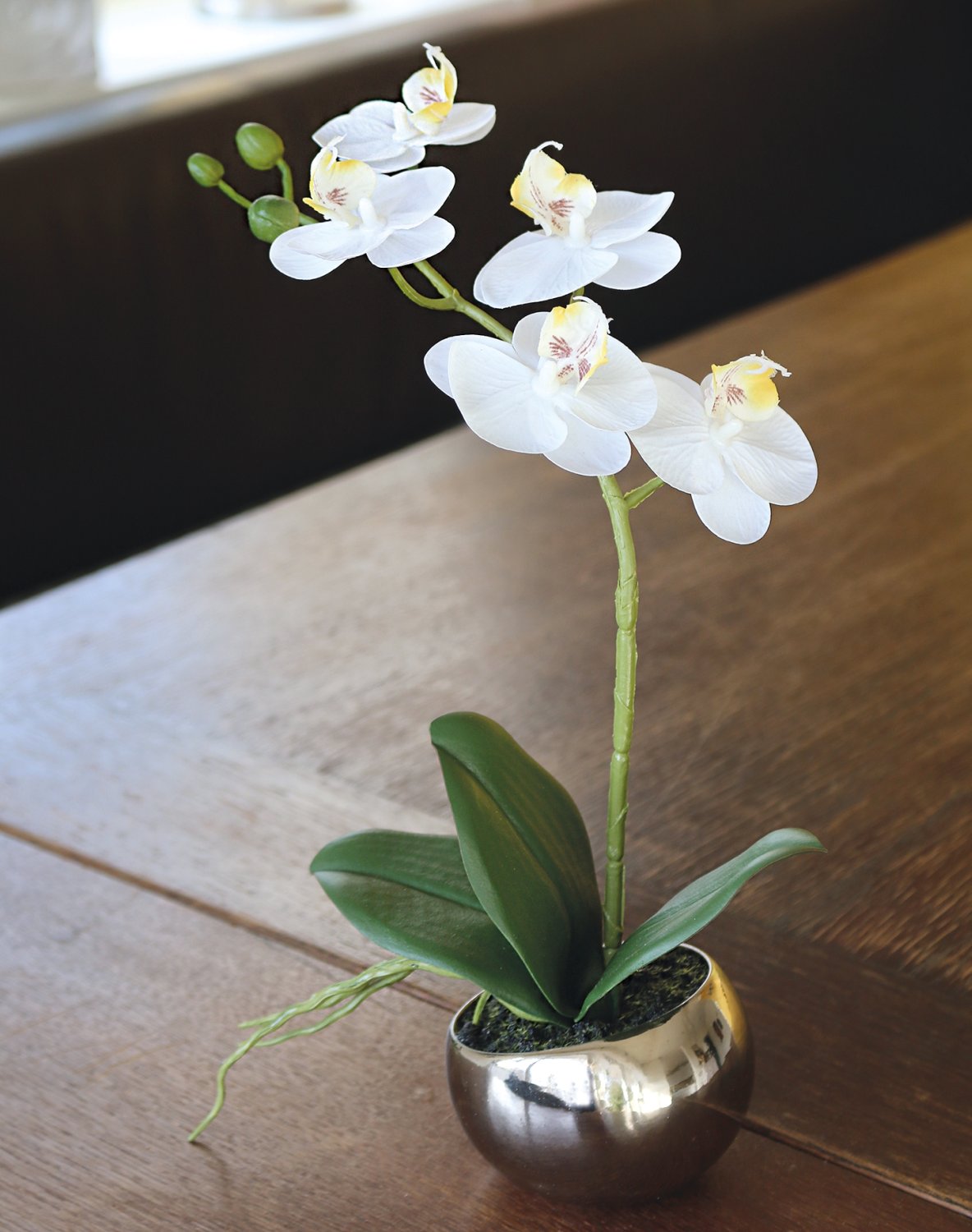 Künstliche Orchidee Phalaenopsis, getopft, 35 cm, Real Touch Soft, creme-weiß