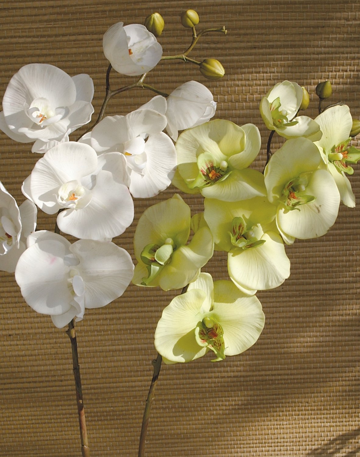 Orchidea artificiale ciclamino 49 cm