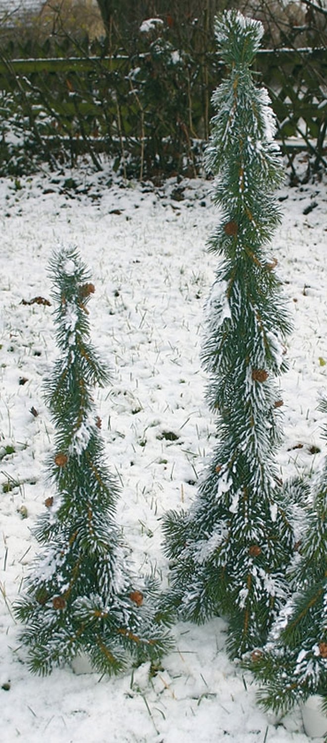 Künstlicher Tannenbaum mit Schnee und Zapfen, getopft, 50cm, frostgrün