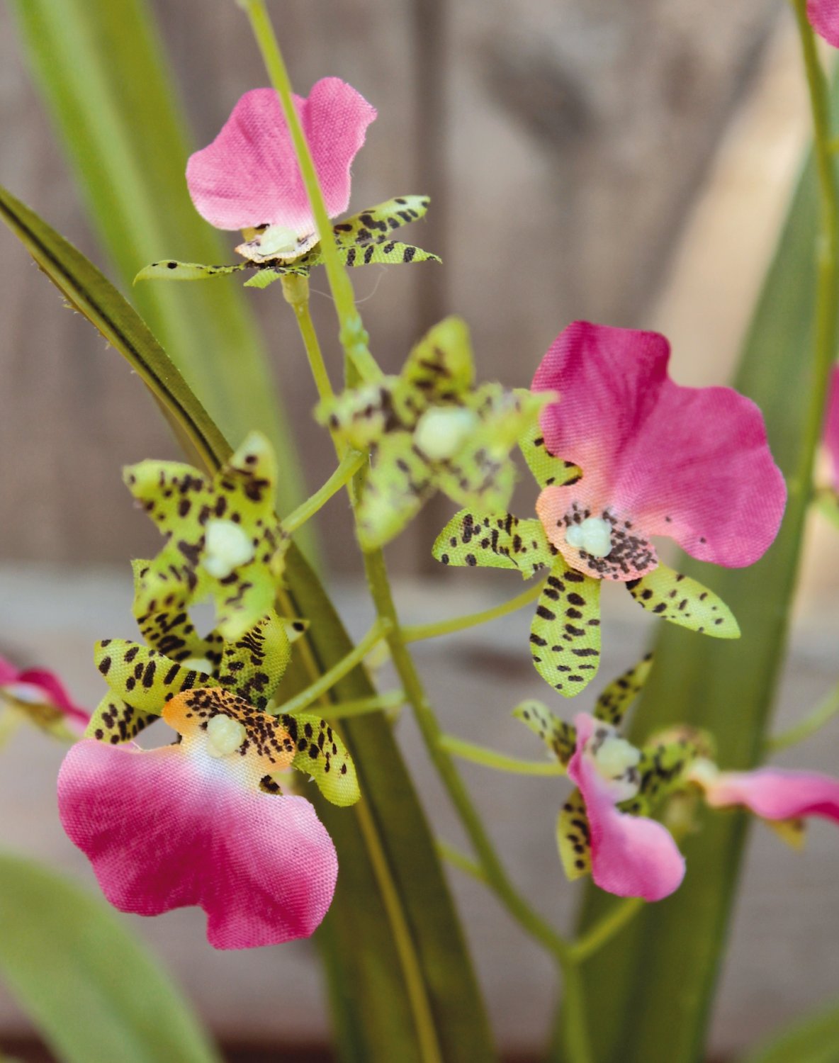 Künstliche Oncidium, rosa-grün getopft, Orchidee 50cm,