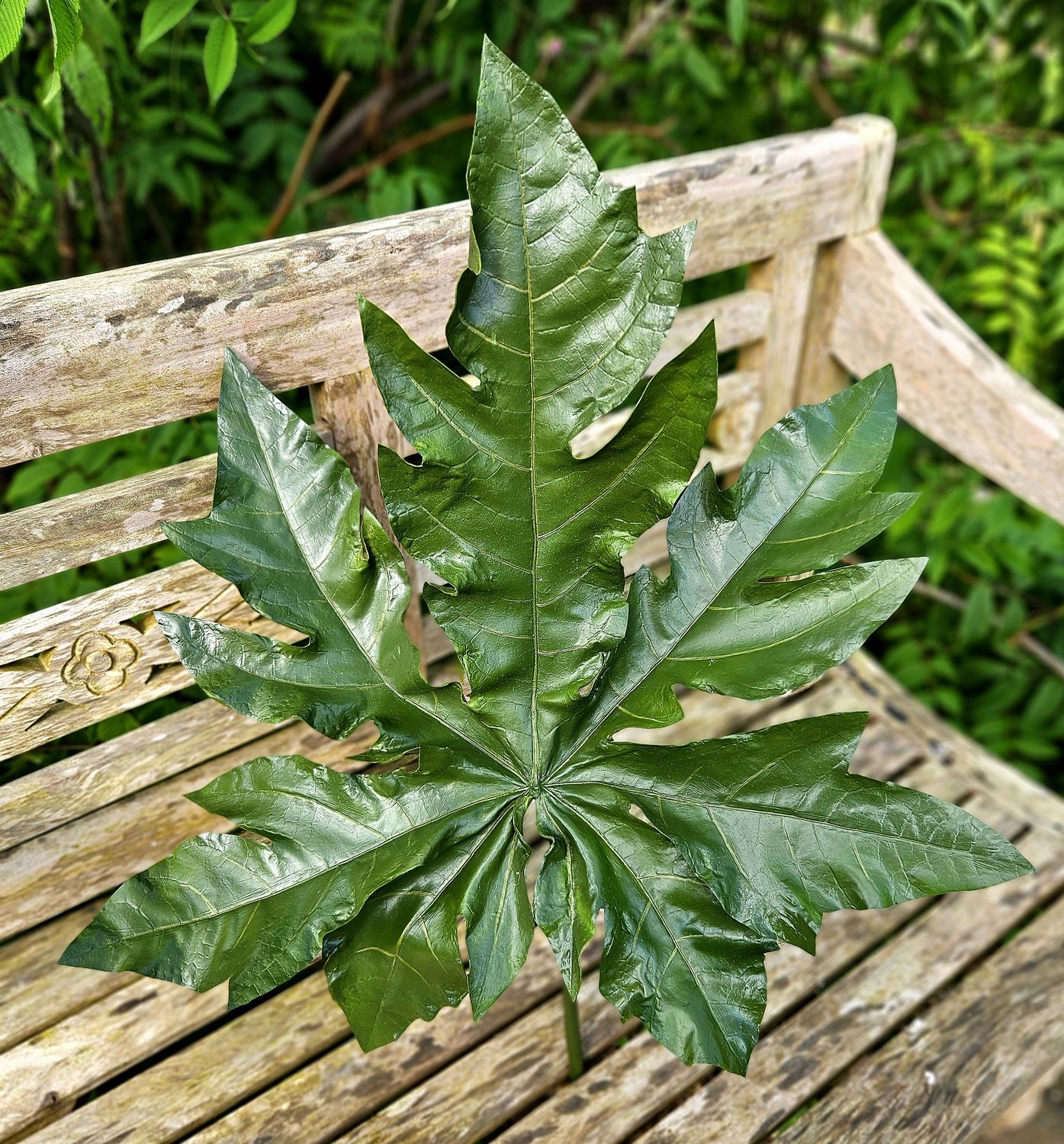 Artificial aralia leaf "Giant", 110 cm, green