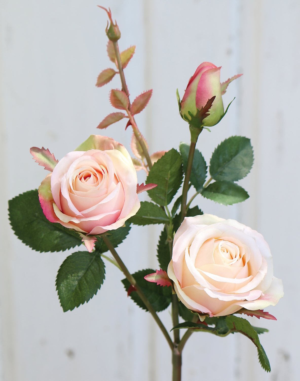 False rose, 2 flowers, 1 bud, 57 cm, apricot