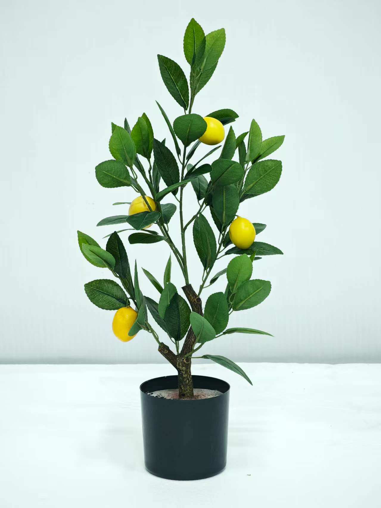 Unechter Zitronenbaum, getopft, 60 cm, grün-gelb