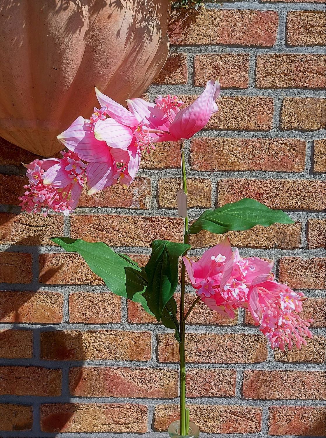 Kunstzweig Medinilla, 138 cm, Real Touch, rosa