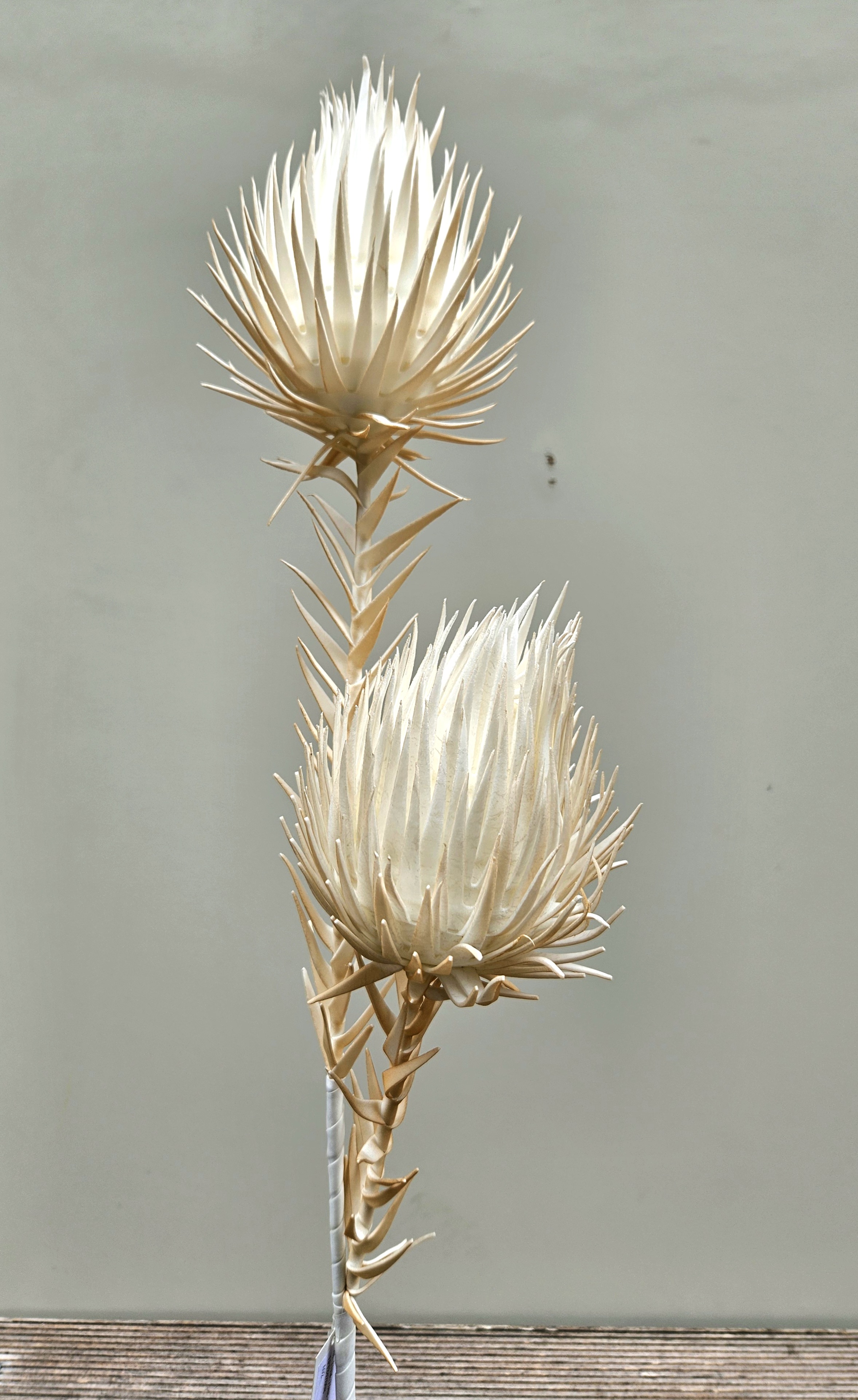 Deko Soft flower 'Distel-gigant', 2-fach, 100 cm, aprikose