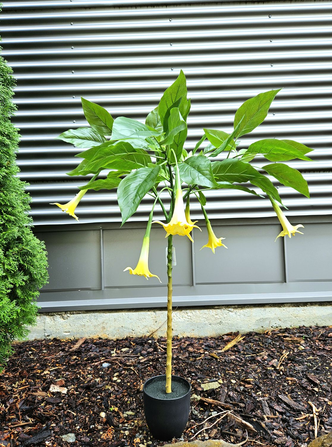 Brugmansia artificiale, 100 cm, Real Touch, verde