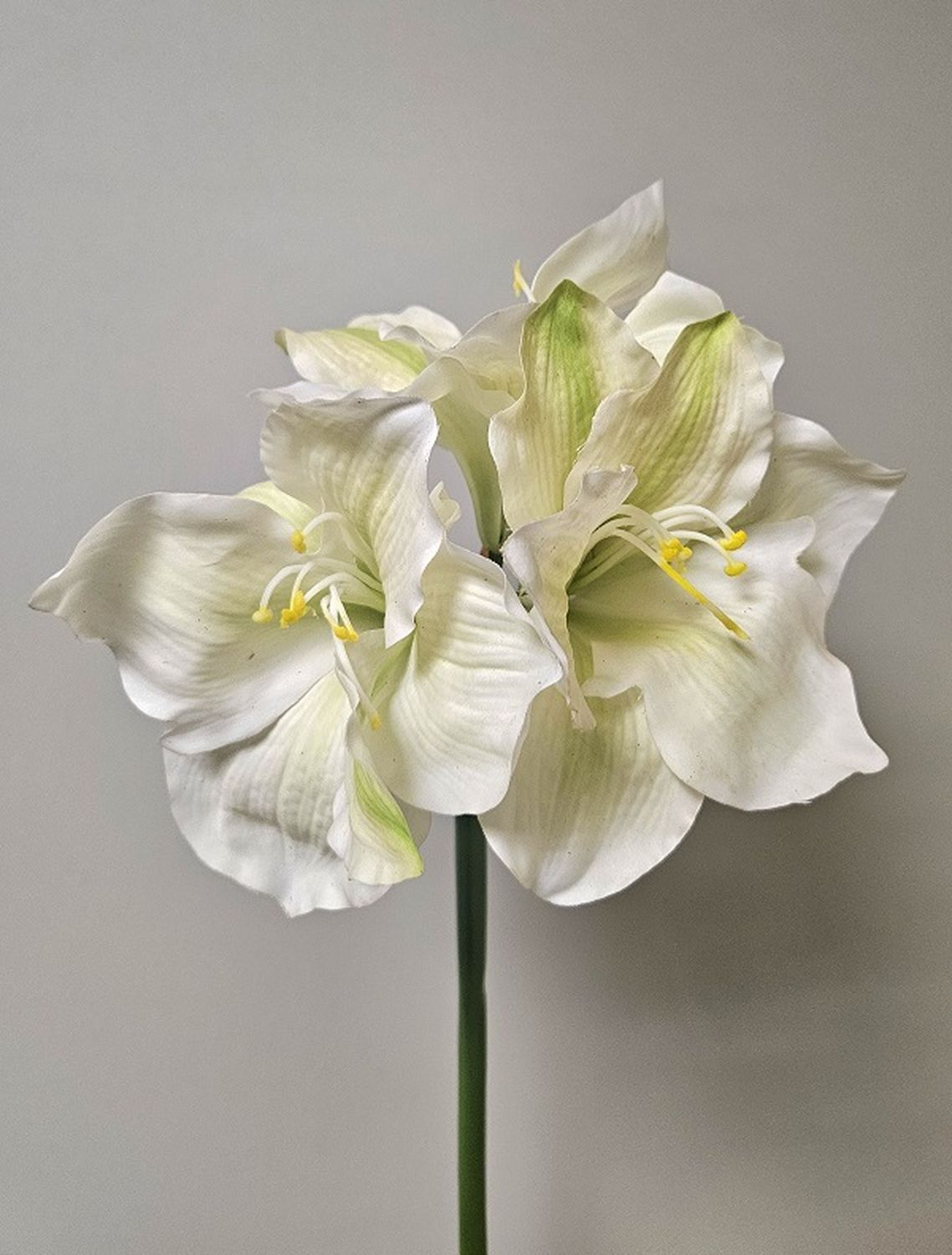 Artificial amaryllis, Real Touch, 80 cm, cream-white